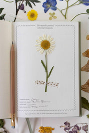 Inside page with a pressed daisy botanical keepsake taped in place.