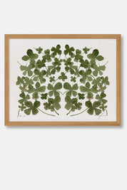 Pick Me Art Print, 8.5x11"