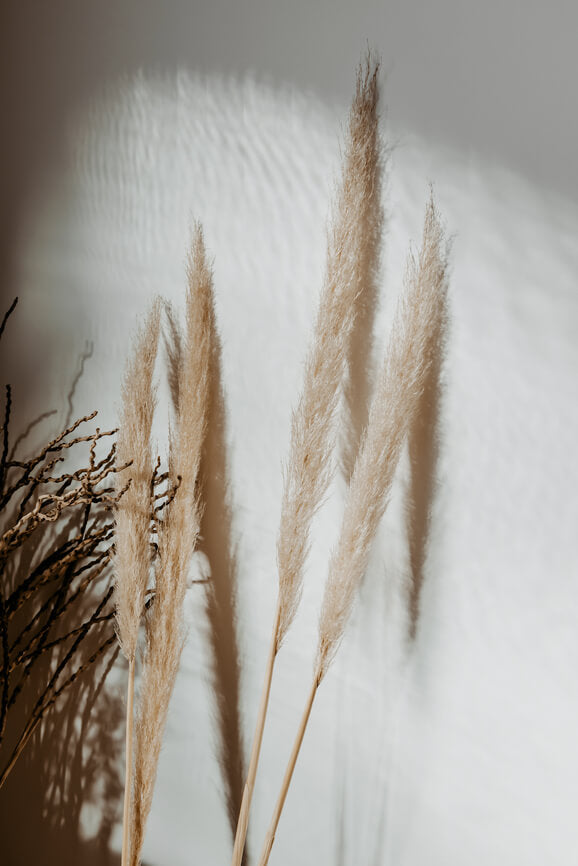 cultiverre | our story, our brand, our values