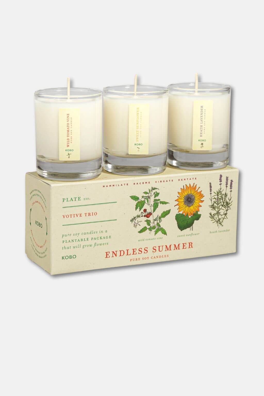 Three votive candles in glass holders on a plantable box labeled 'Endless Summer' with botanical designs.