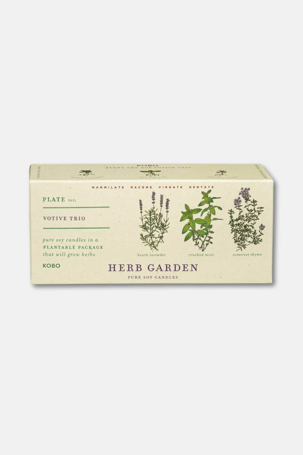 Herb Garden - Plant the Box Votive Candle Trio