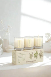 Herb Garden - Plant the Box Votive Candle Trio