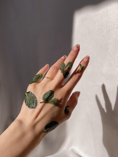 cultiverre | winter solstice collection