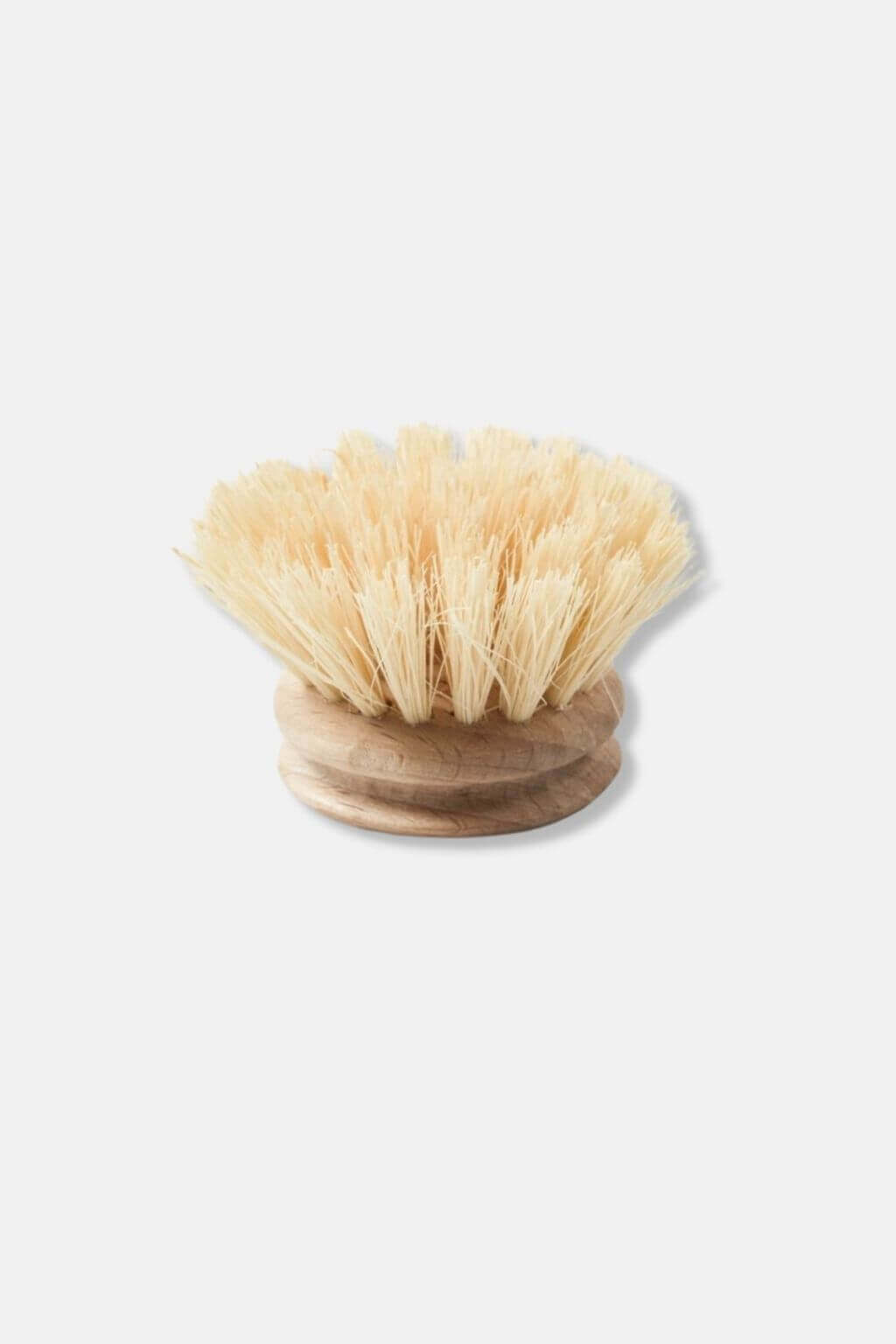 Compostable Dish Brush Refill Andree Jardin