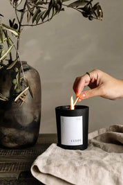 Hand lighting the Cedar Luxury Candle with a match, styled with an olive branch in a ceramic vase.
