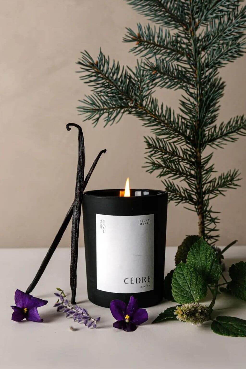 Cedar Luxury Candle lit, surrounded by fresh cedar greenery, vanilla beans, and violet flowers.