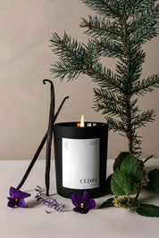 Cedar Luxury Candle lit, surrounded by fresh cedar greenery, vanilla beans, and violet flowers.