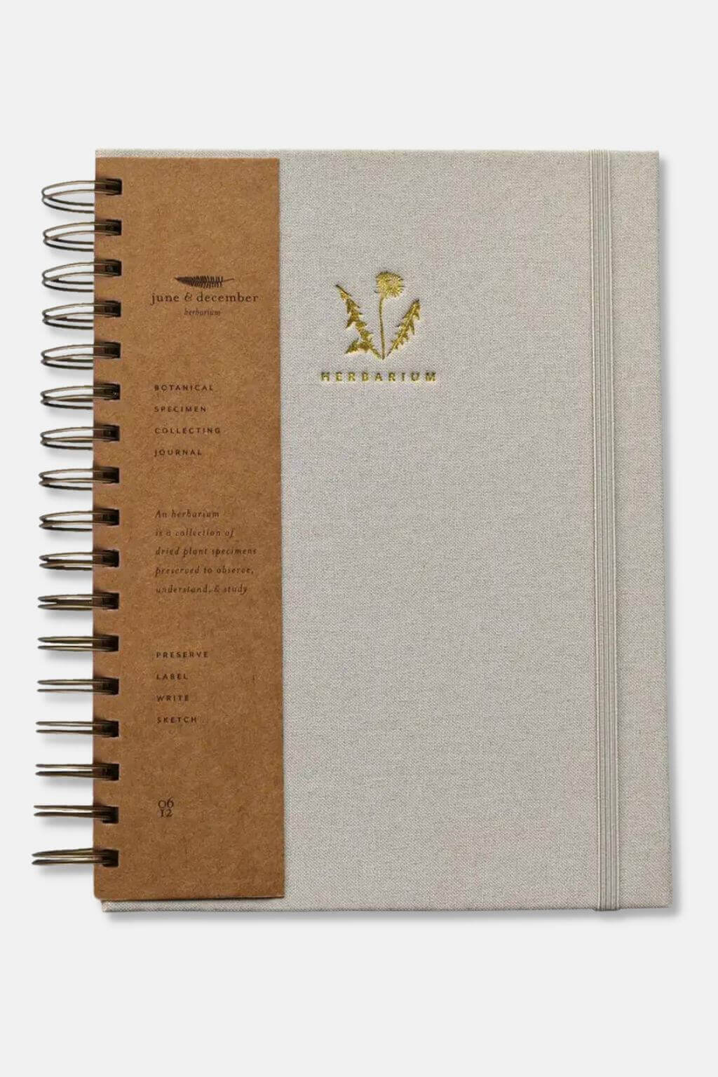 Dandelion Herbarium Botanical Specimen Collecting Journal
