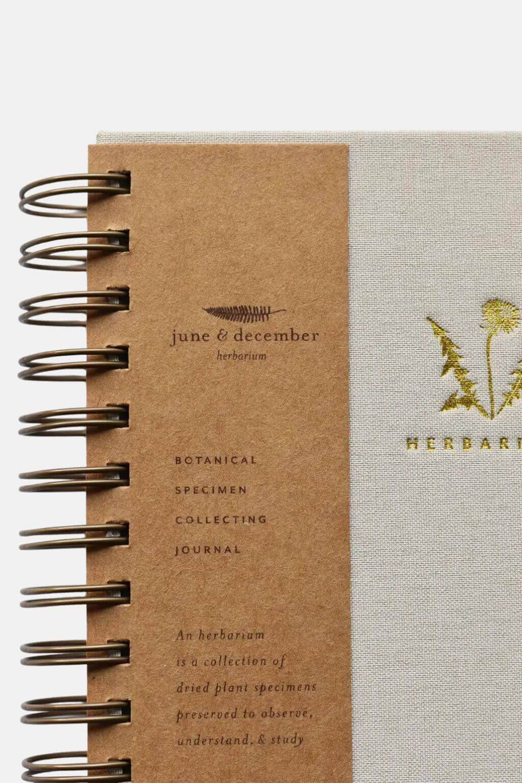 Dandelion Herbarium Botanical Specimen Collecting Journal