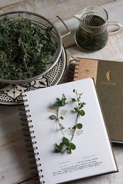 Herbarium Journal | Botanical Specimen Collecting Journal