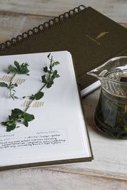 Herbarium Journal | Botanical Specimen Collecting Journal