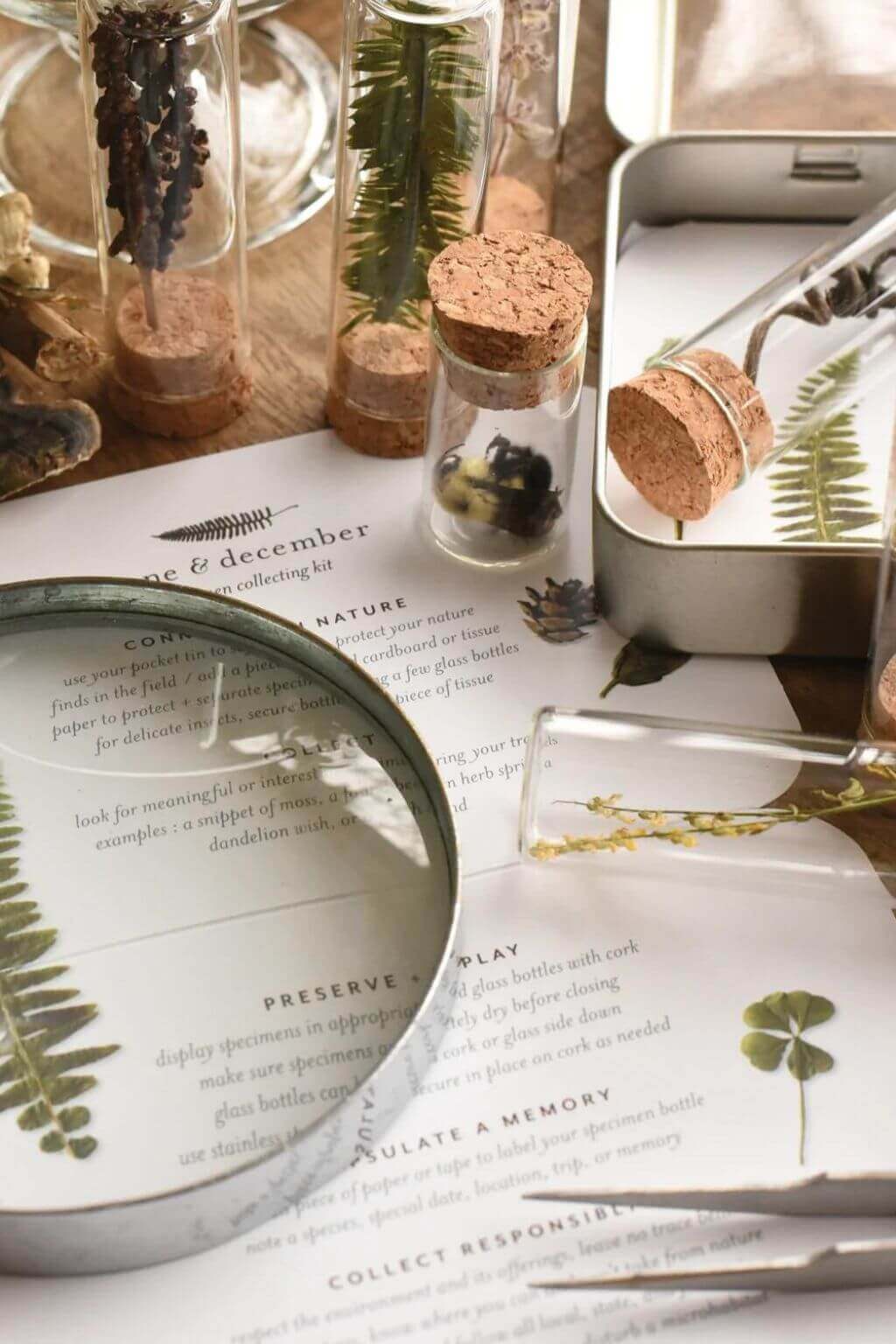 Nature Specimen Collecting Kit