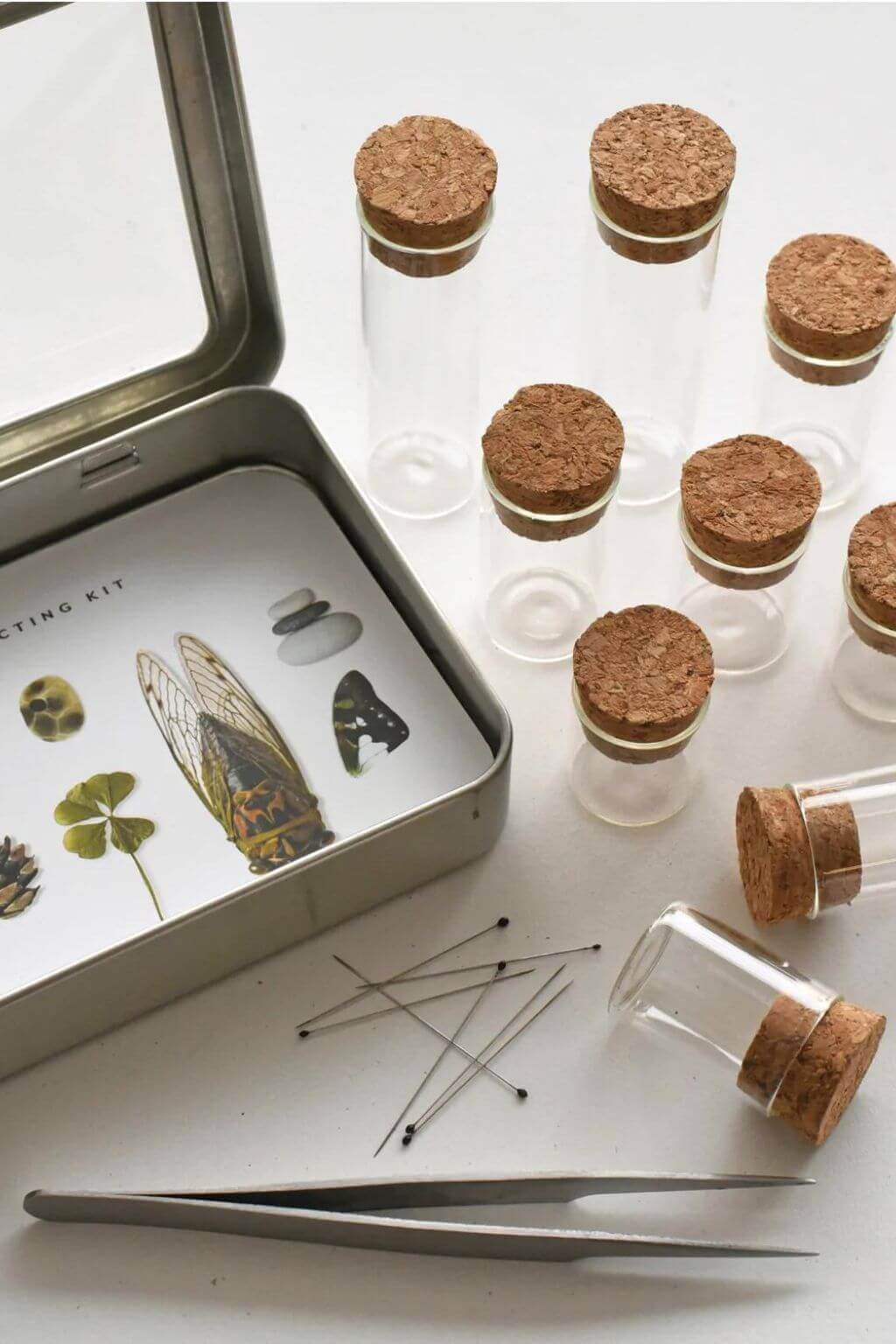 Nature Specimen Collecting Kit