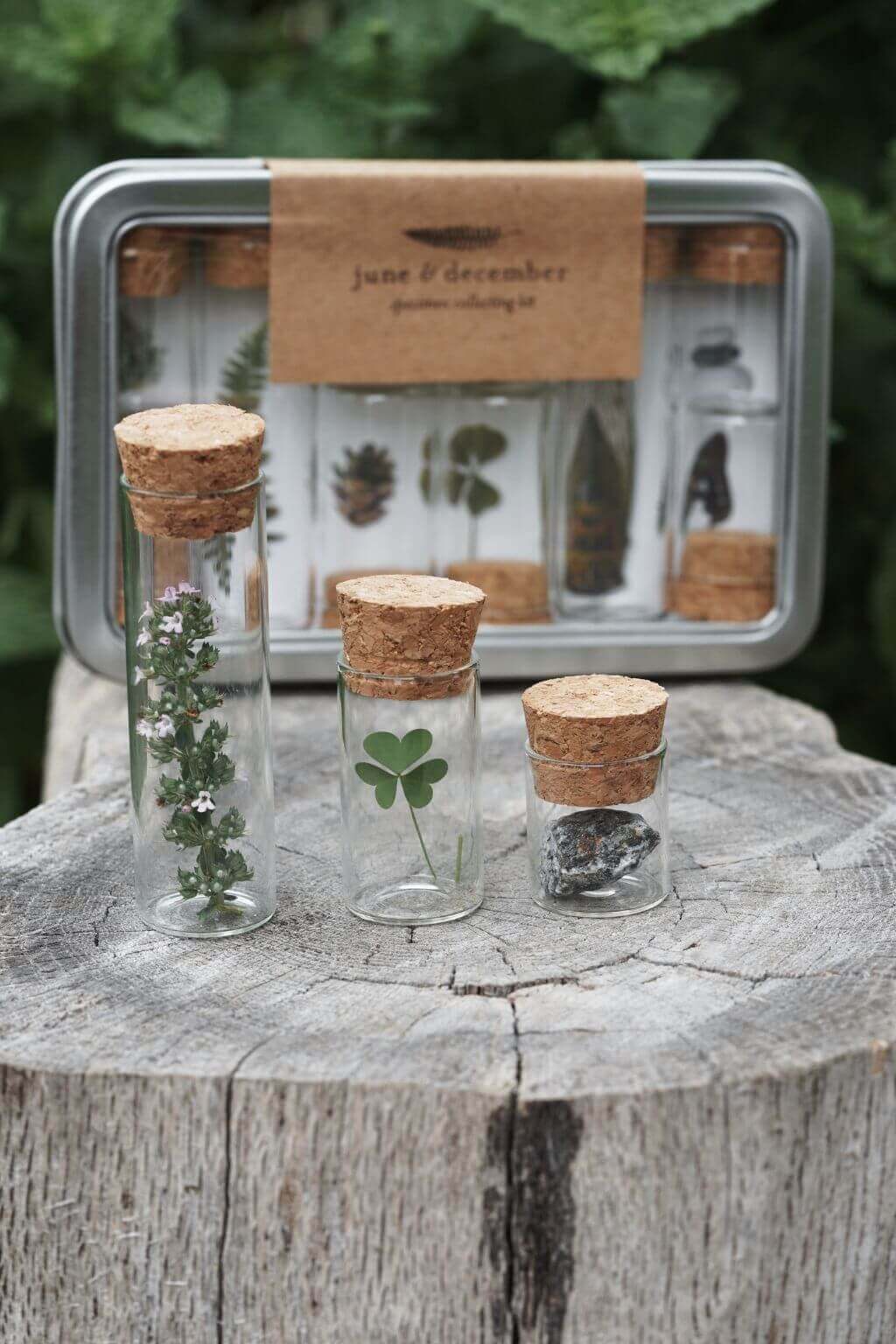 Nature Specimen Collecting Kit
