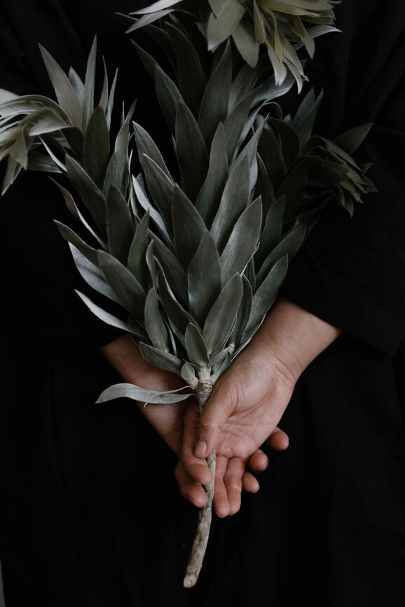 Cultiverre : Fall Harvest Collection - Woman wearing black turtleneck standing in a fall field of corn 