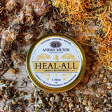 Heal-All Arnica Relief Balm | Nourish, Soothe + Repair