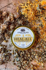 Heal-All Arnica Relief Balm | Nourish, Soothe + Repair