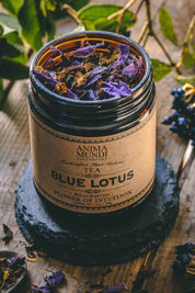 Blue Lotus | Flower of Intuition Tea - Meditative, Euphoria + Relaxation