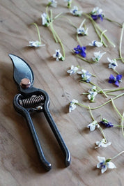 Pruning shears on a wooden surface with small flowers scattered around