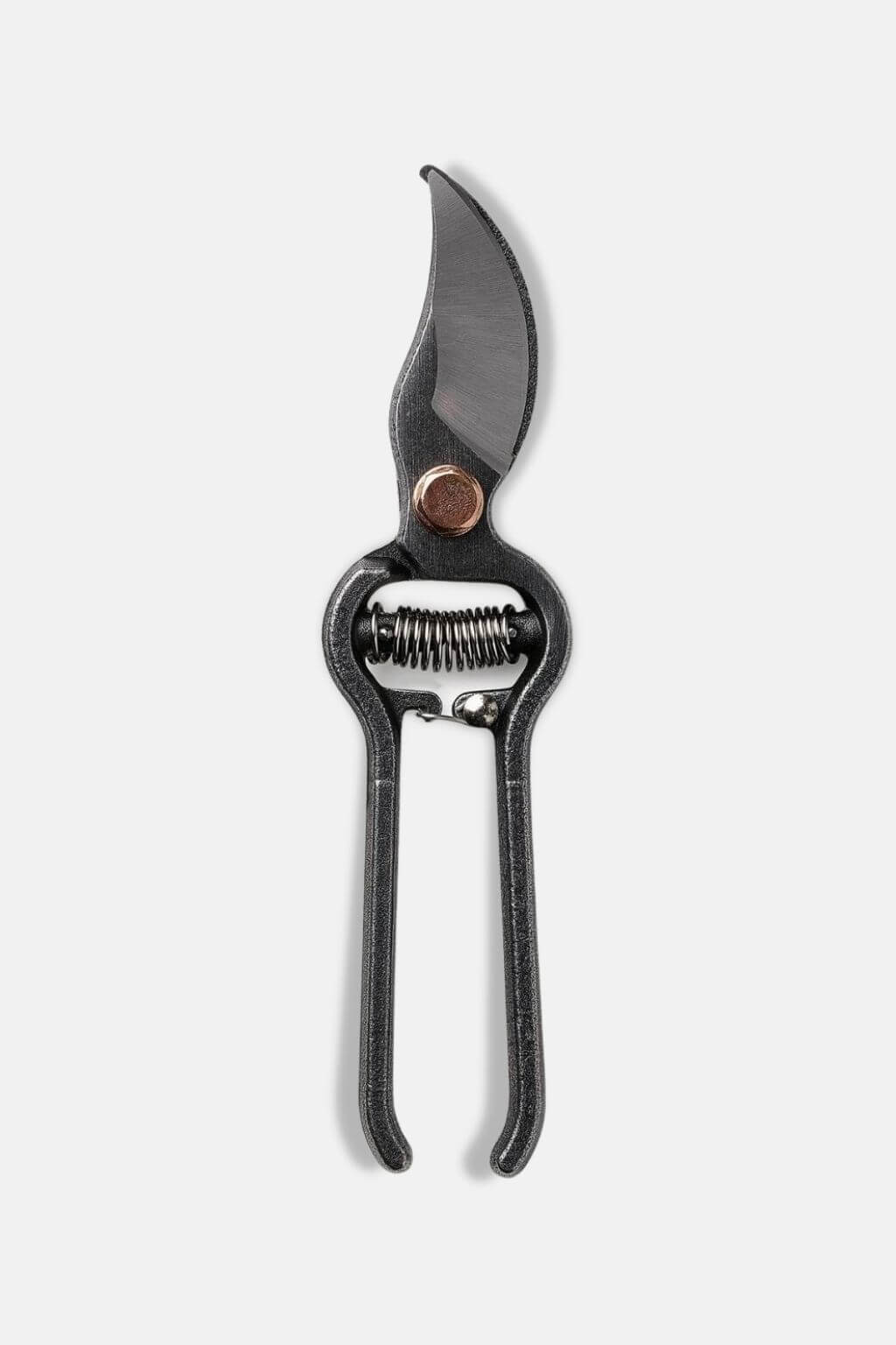 Pruning shears on a white background
