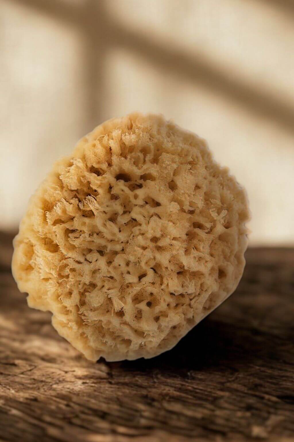 Mediterranean wool sponge on wooden table surface