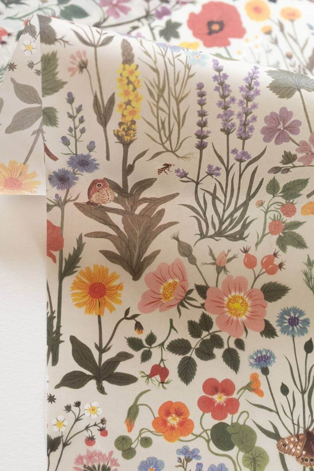 Botanist Illustrated Tissue Paper