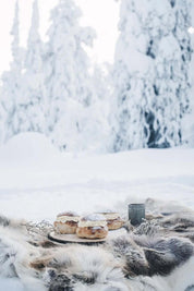 Nordic Winter Cookbook