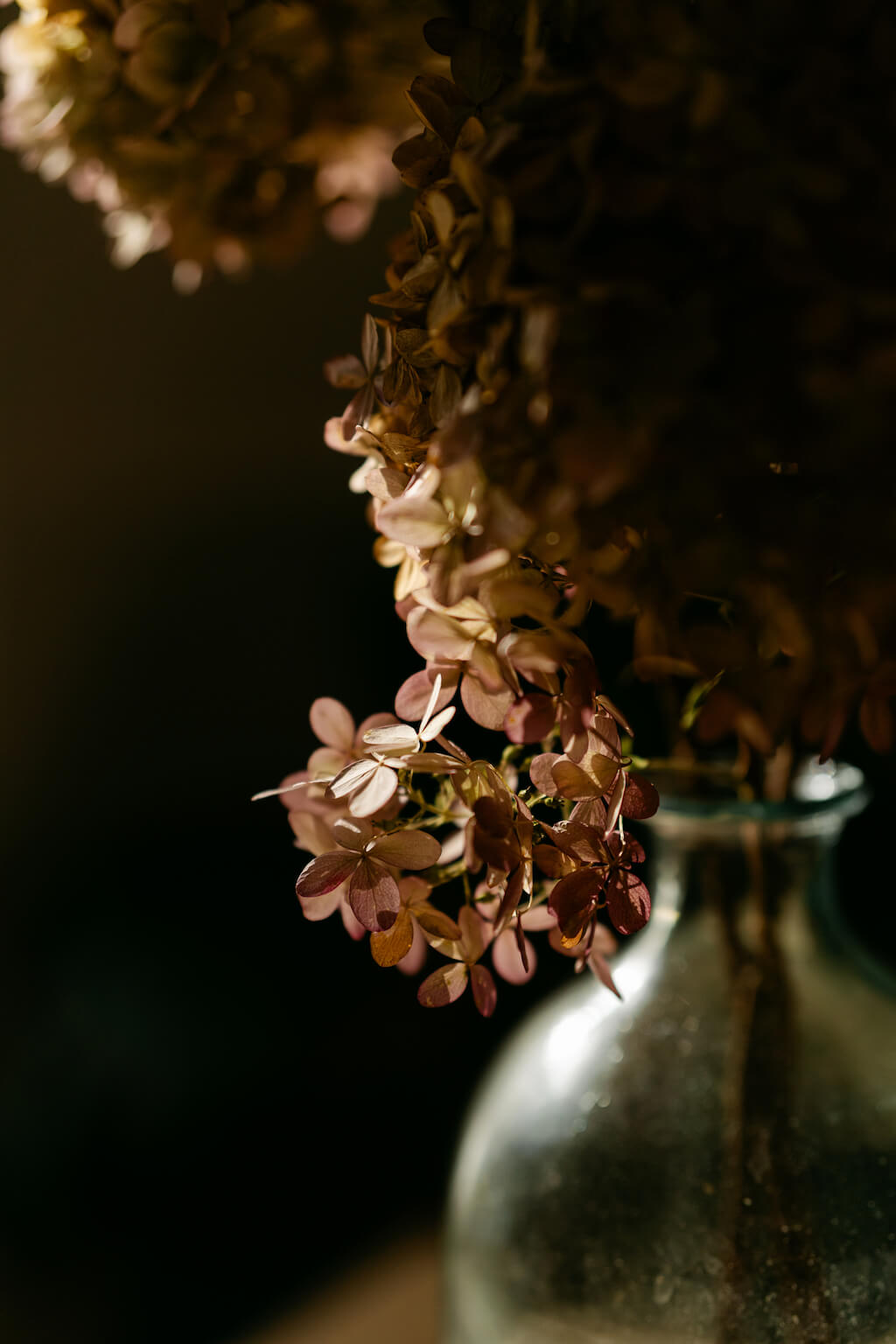 cultiverre-an-autumn-of-intention-2.jpg