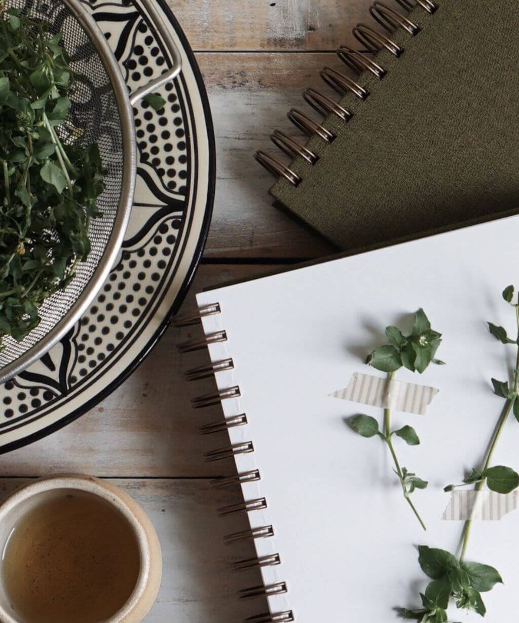 Cultiverre Gifts for Herbalists Collection | Herbarium, Chickweed and a cup of herbal tea