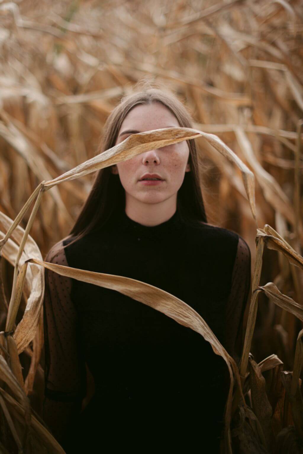 young woman dressed in a black turtleneck standing in a fall field of dried corn stalks