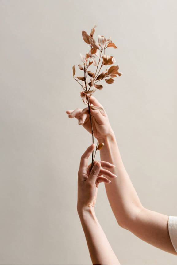 Cultiverre New Year Collection | Graceful Hands Holding Natural Branches