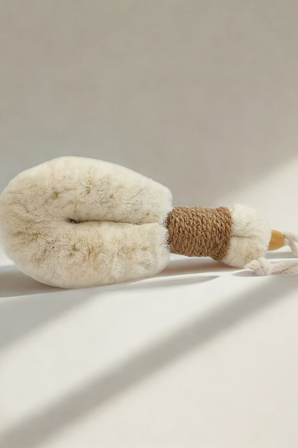 Japanese-style dry brush lying in natural sunlight