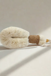 Japanese-style dry brush lying in natural sunlight