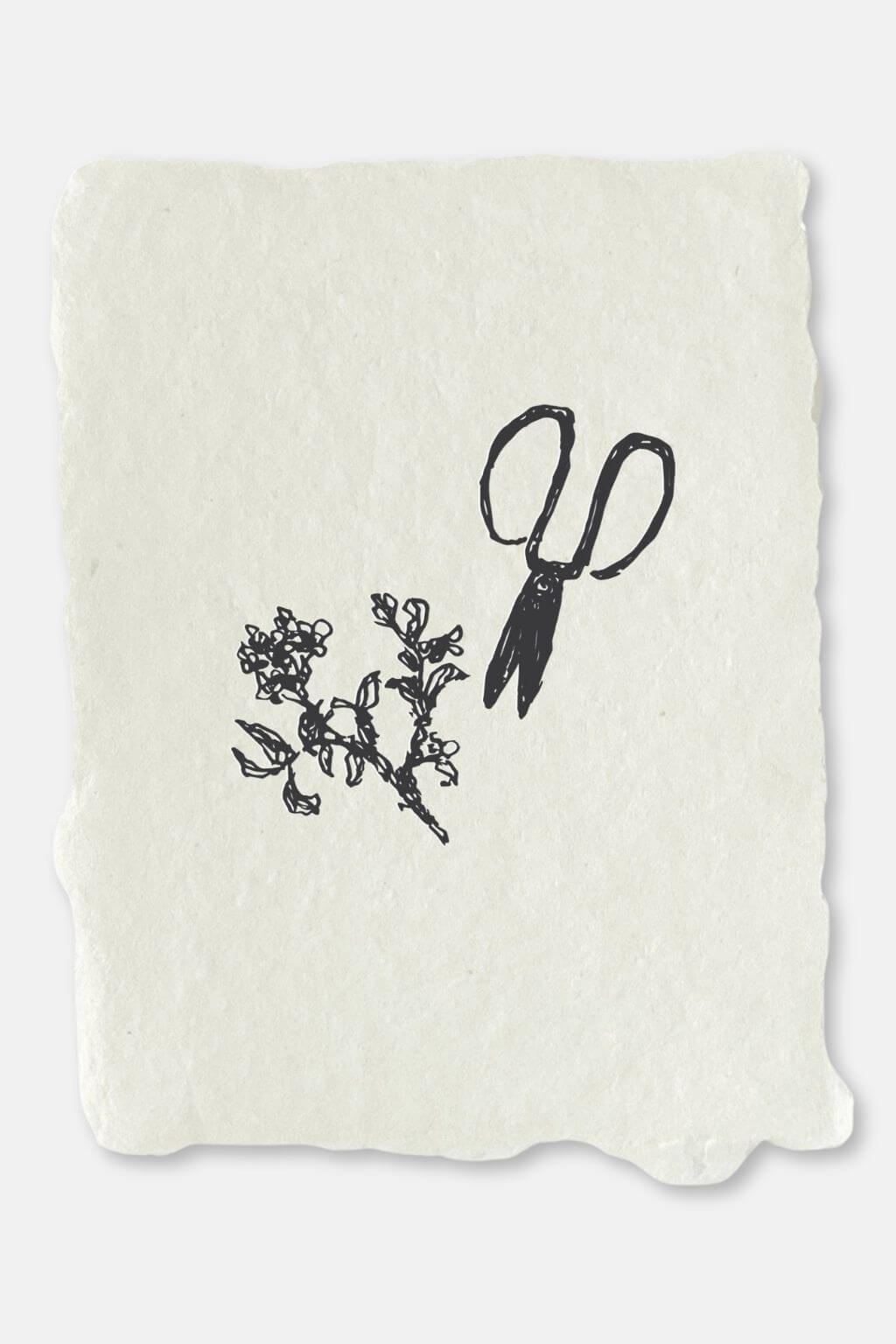 Garden Shears | Natural Handmade Paper Note Card Set