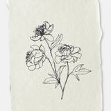 Peony Stems | Natural Handmade Paper Note Card Set