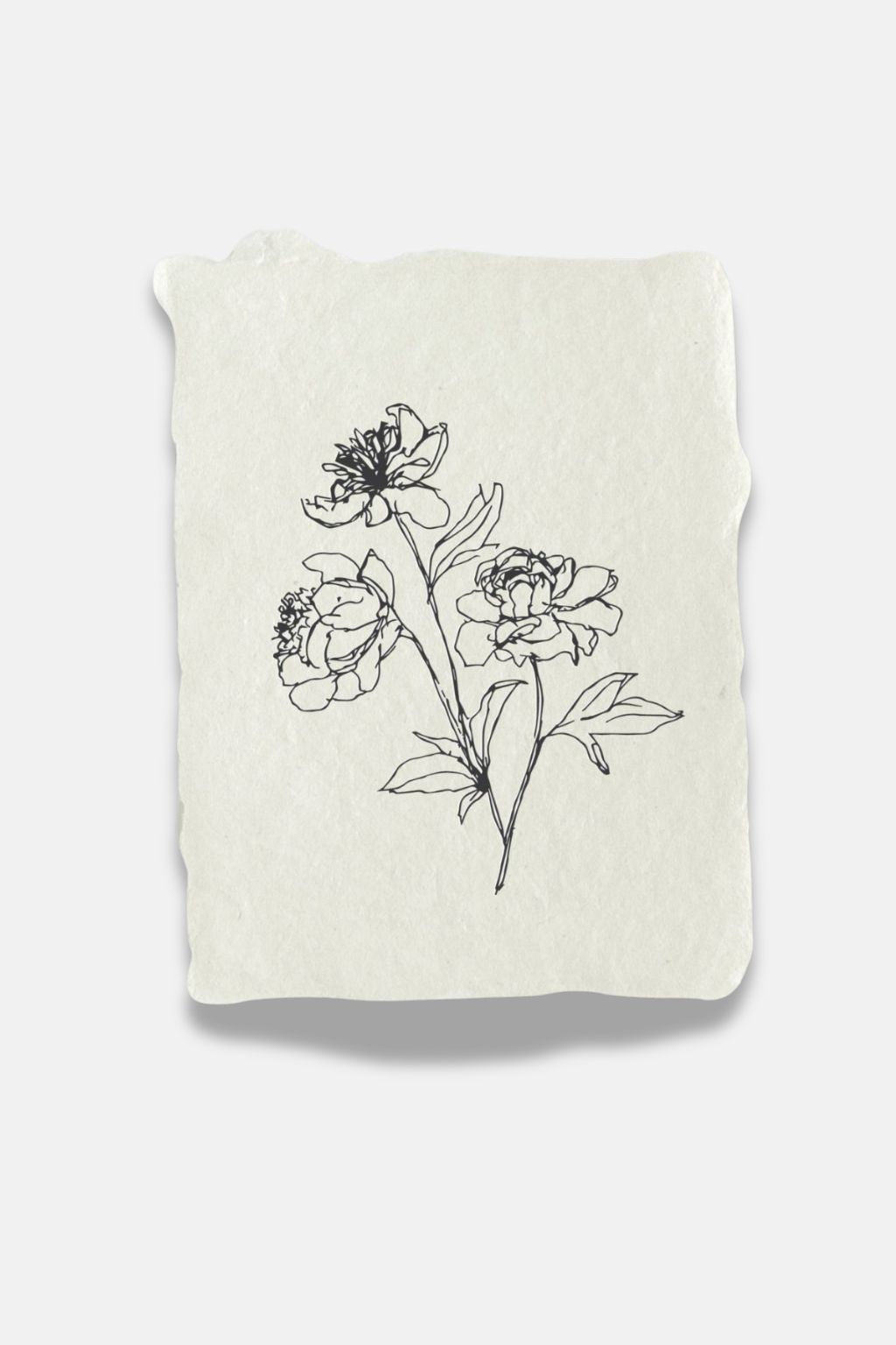 Peony Stems | Natural Handmade Paper Note Card Set