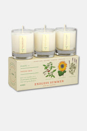 Endless Summer - Plant the Box Votive Candle Trio