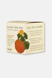 Half Moon Pumpkin | "Plant the Box" Candle