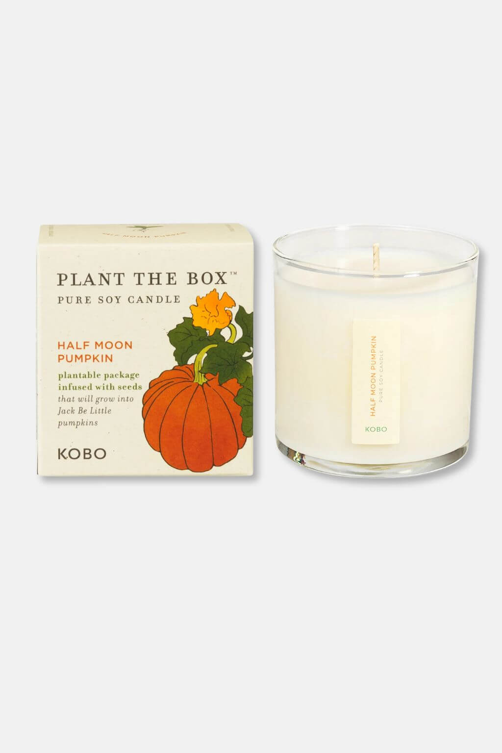 kobo-half-moon-pumpkin-plant-the-box-candle-5.jpg