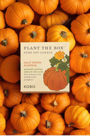 Half Moon Pumpkin | "Plant the Box" Candle