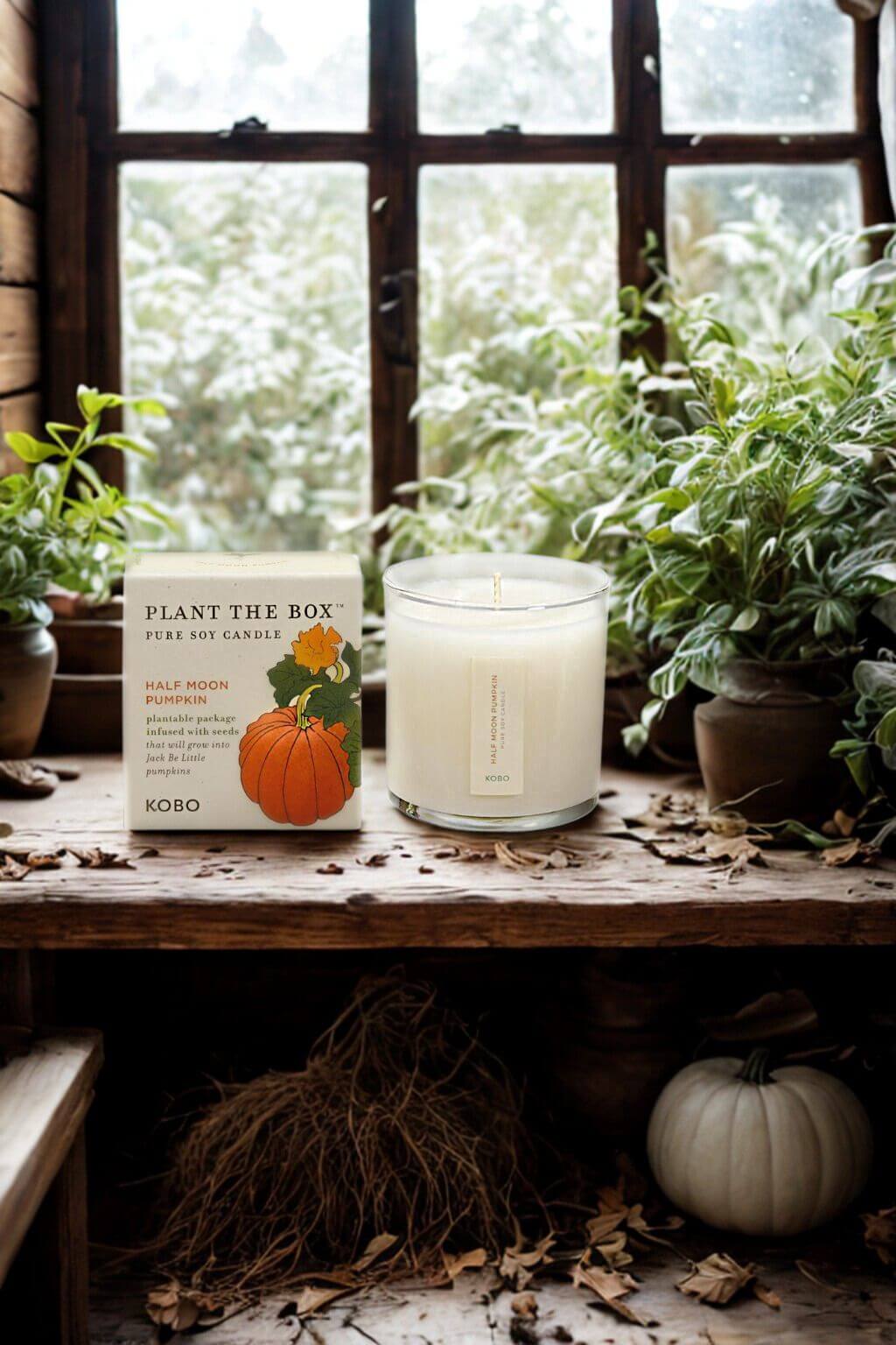 kobo-half-moon-pumpkin-plant-the-box-candle-9.jpg