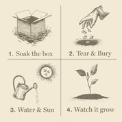 Half Moon Pumpkin | "Plant the Box" Candle