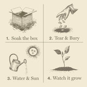 Herb Garden - Plant the Box Votive Candle Trio