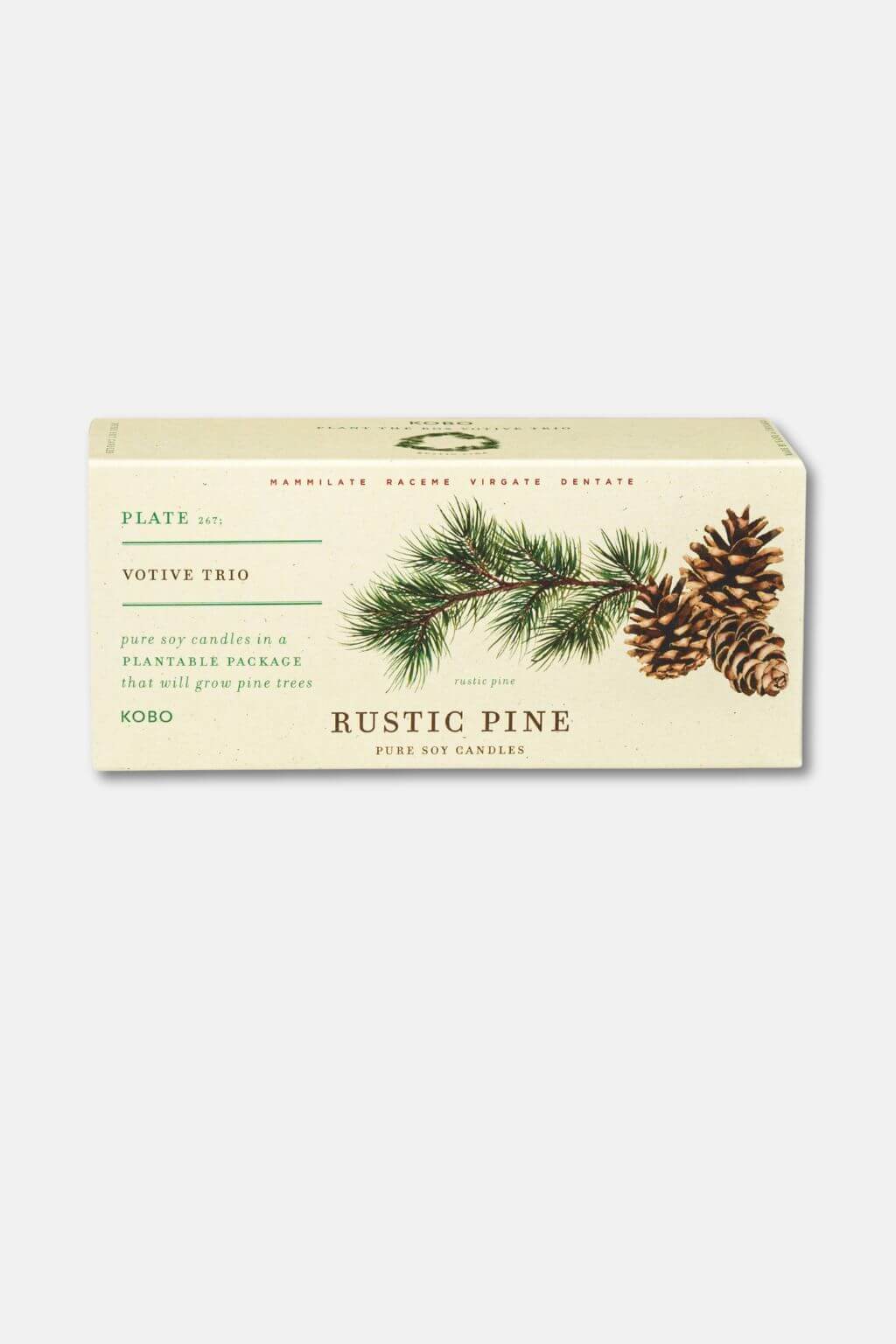 Rustic Pine | "Plant the Box" Votive Candle Trio
