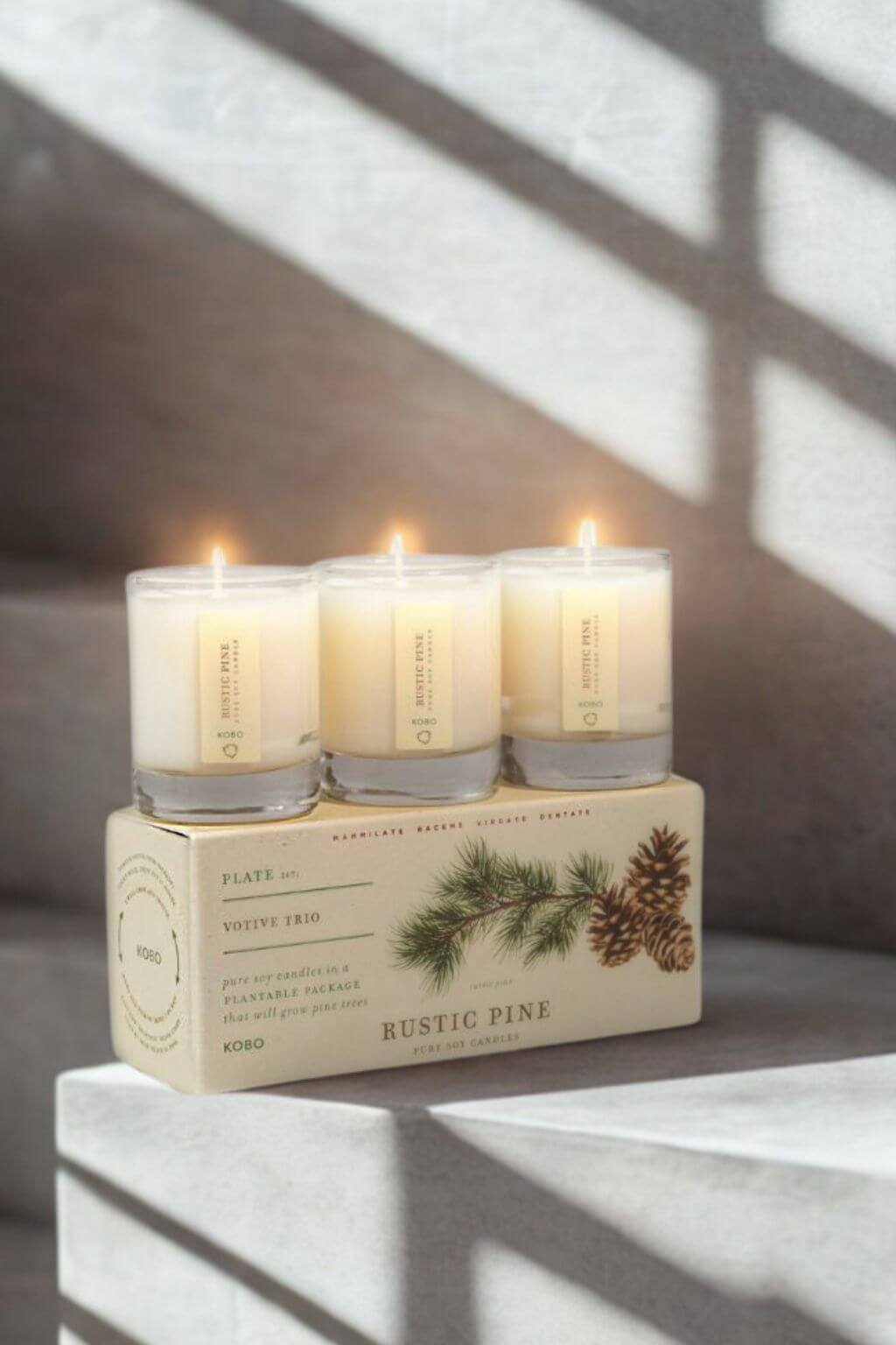 Rustic Pine | "Plant the Box" Votive Candle Trio