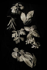 Garden Herb Artisan Pewter Napkin Rings - Set of 8