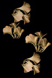 Ginkgo Artisan Brass Napkin Rings - Set of 4