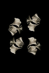 Ginkgo Artisan Pewter Napkin Rings - Set of 4