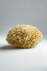 Natural Bath Sea Sponge