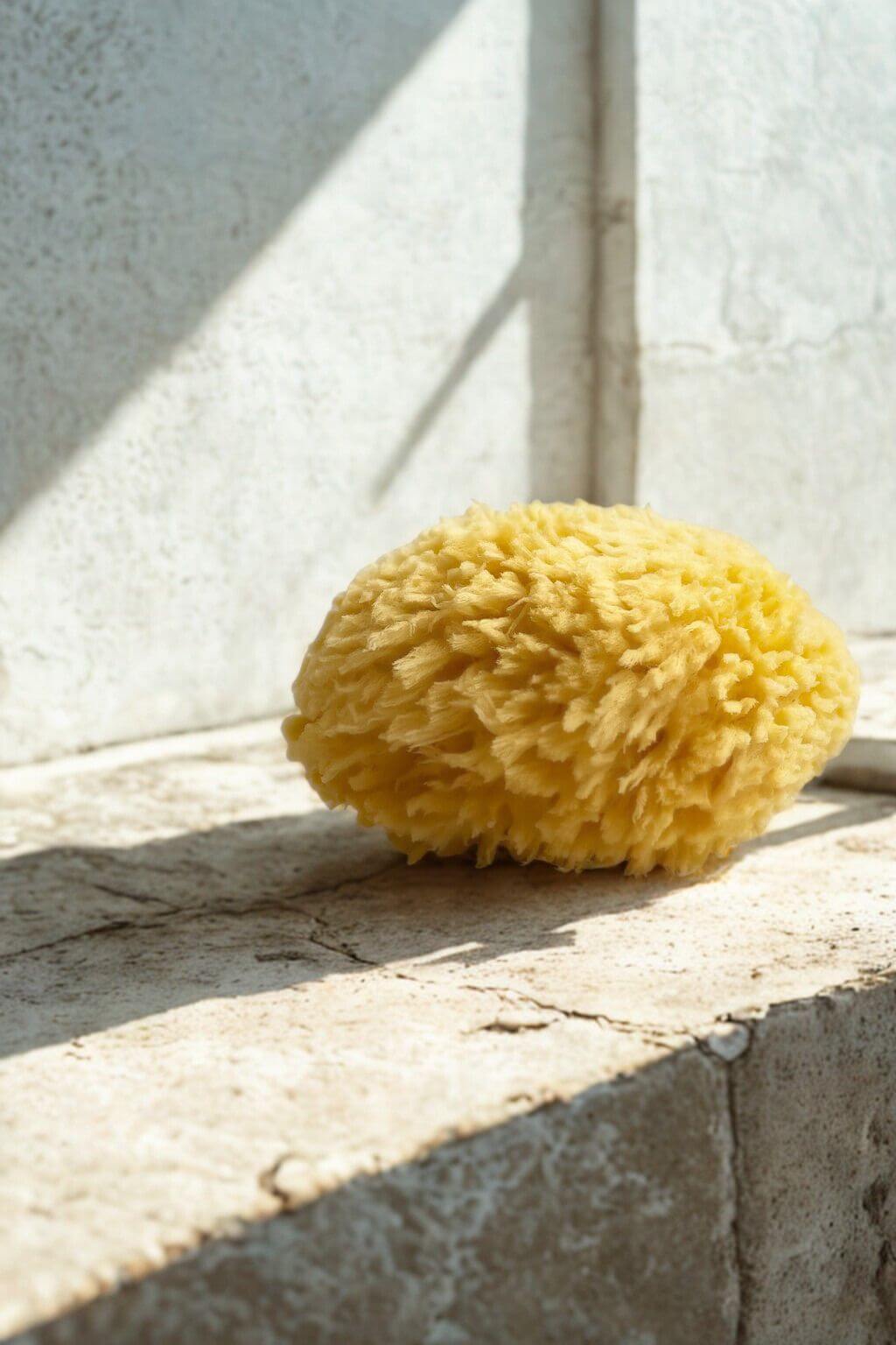 nectar-republic-large-natural-sea-sponge-5.jpg